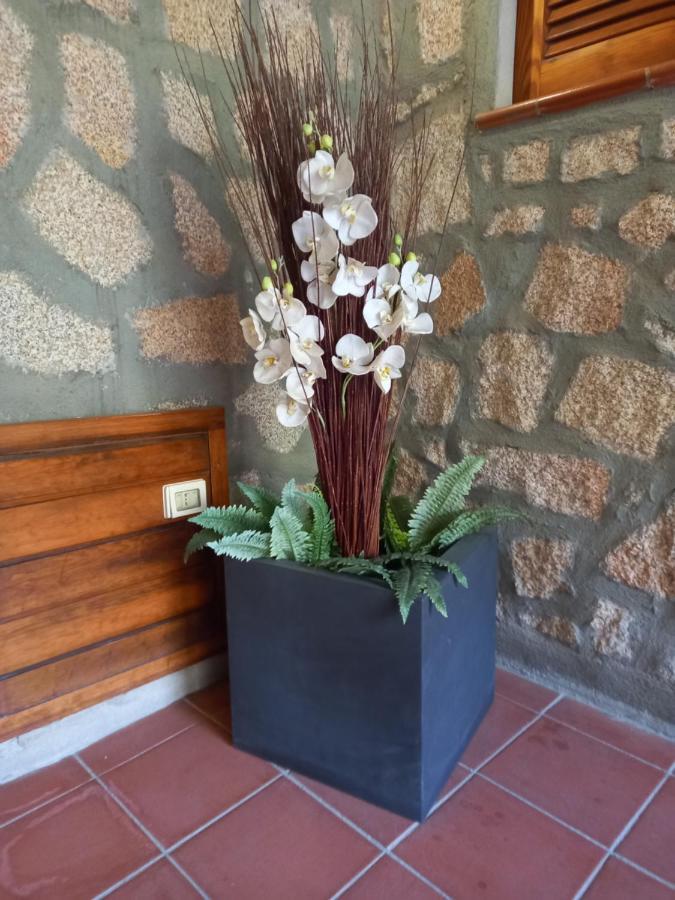 Hotel Olimpia Baia Sardinia Exteriér fotografie